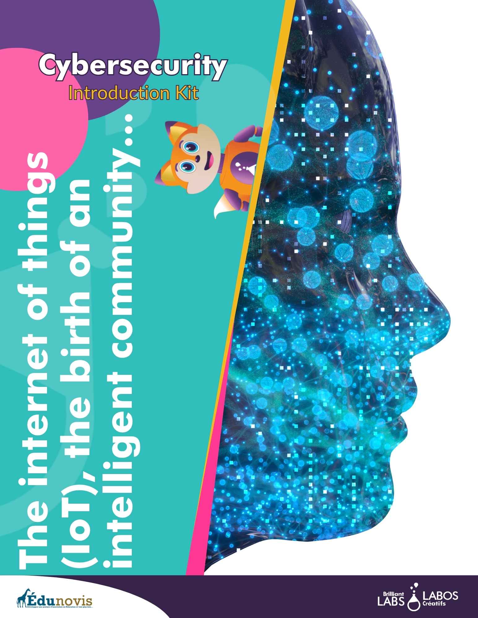 Thumbnail image for the cybersecurity level 1 activity 5 document