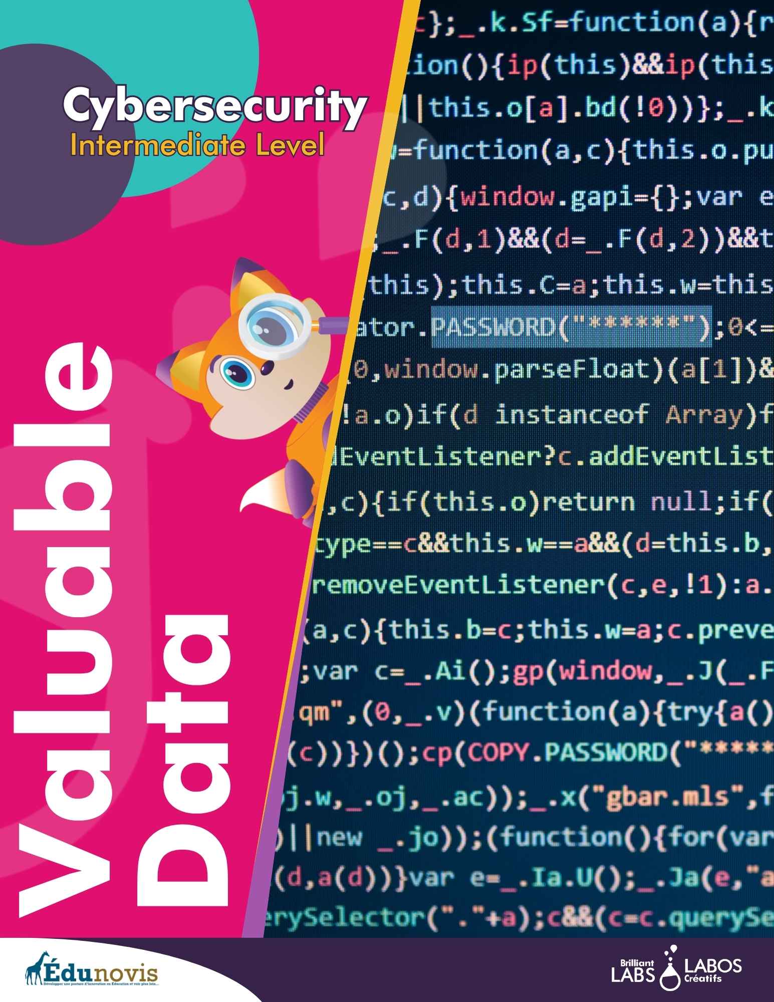 Thumbnail image for the cybersecurity level 2 activity 2 document