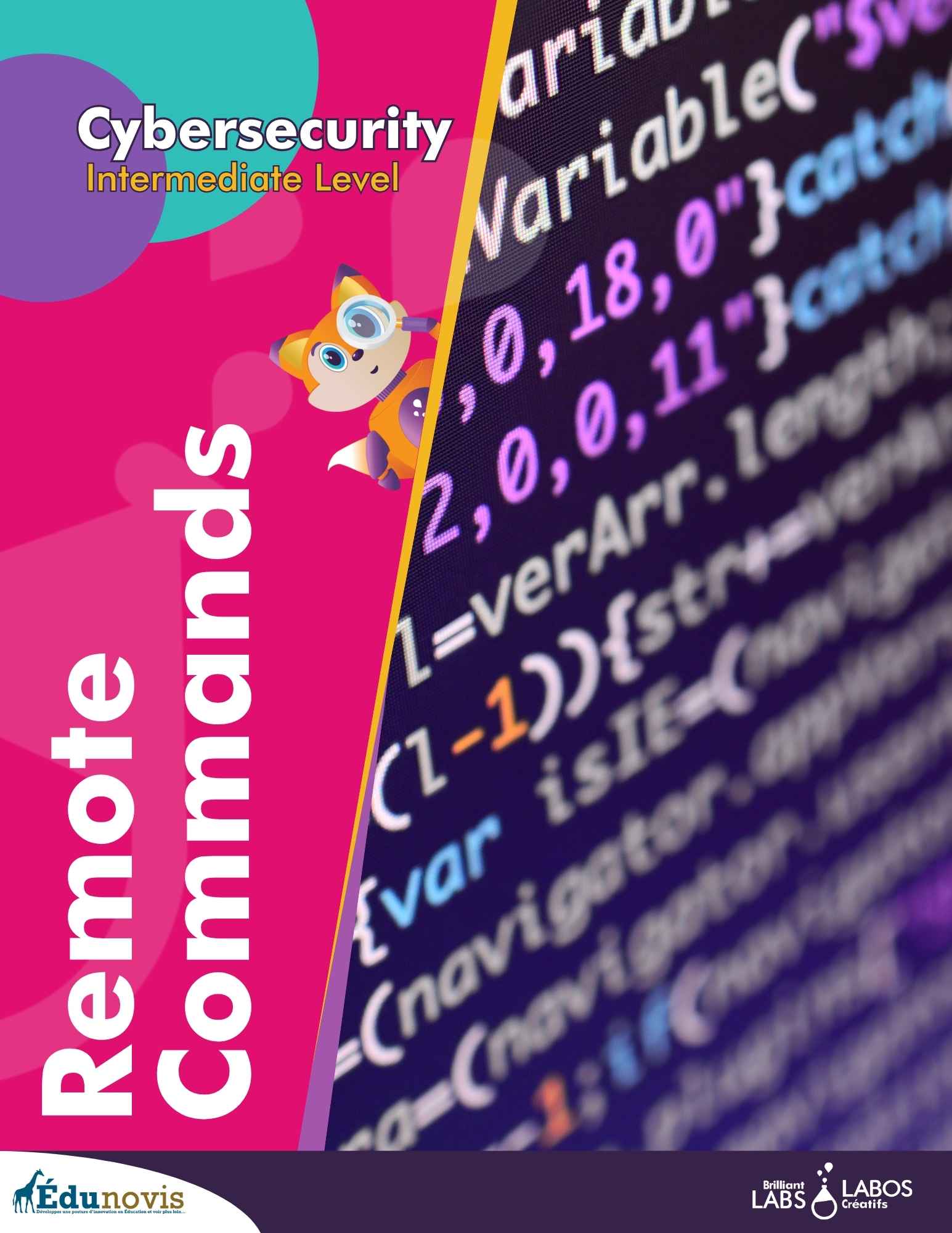 Thumbnail image for the cybersecurity level 2 activity 3 document