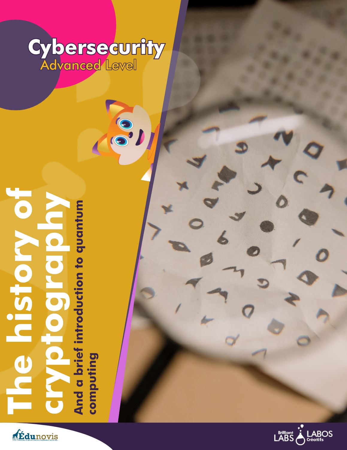 Thumbnail image for the cybersecurity level 3 activity 1 document