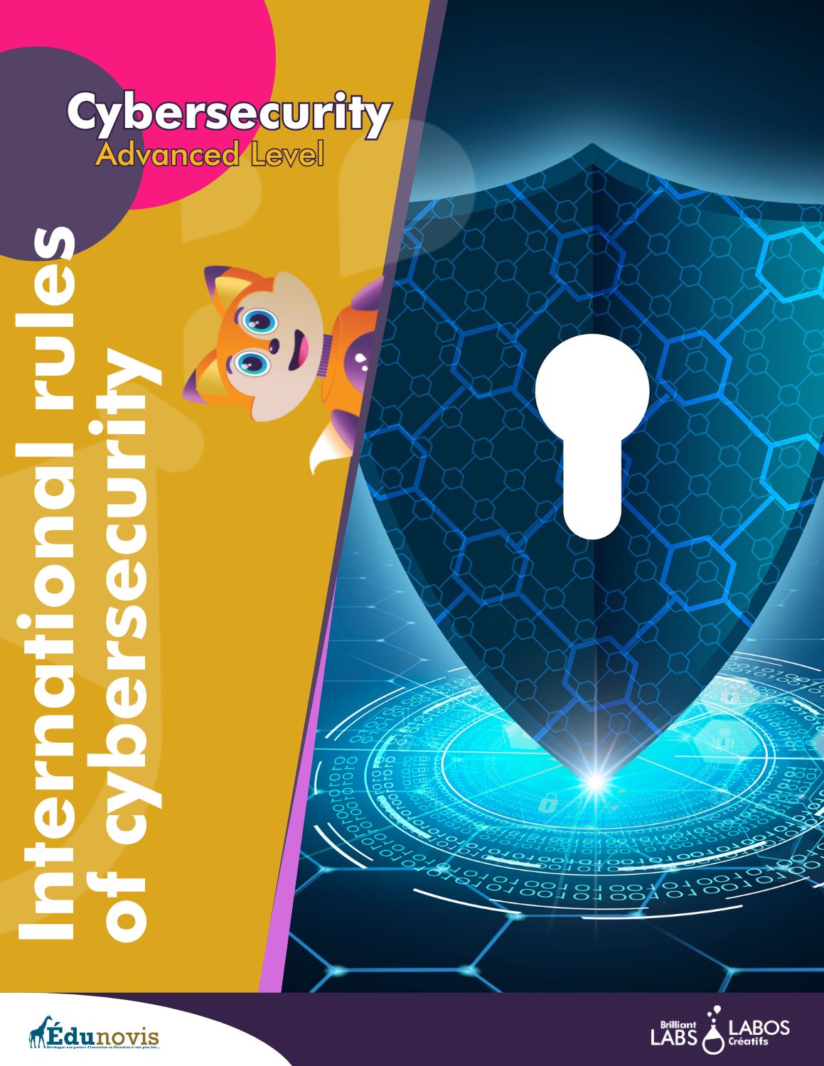 Thumbnail image for the cybersecurity level 3 activity 2 document