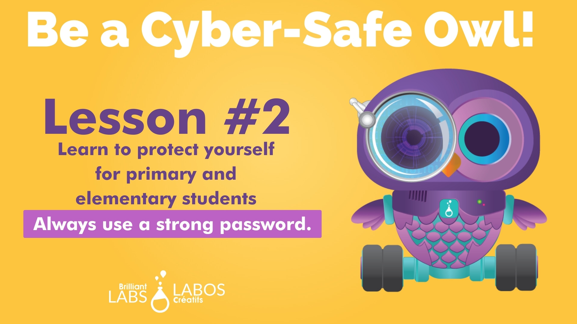 Thumbnail image for the cybersecurity level 1 activity 2 document