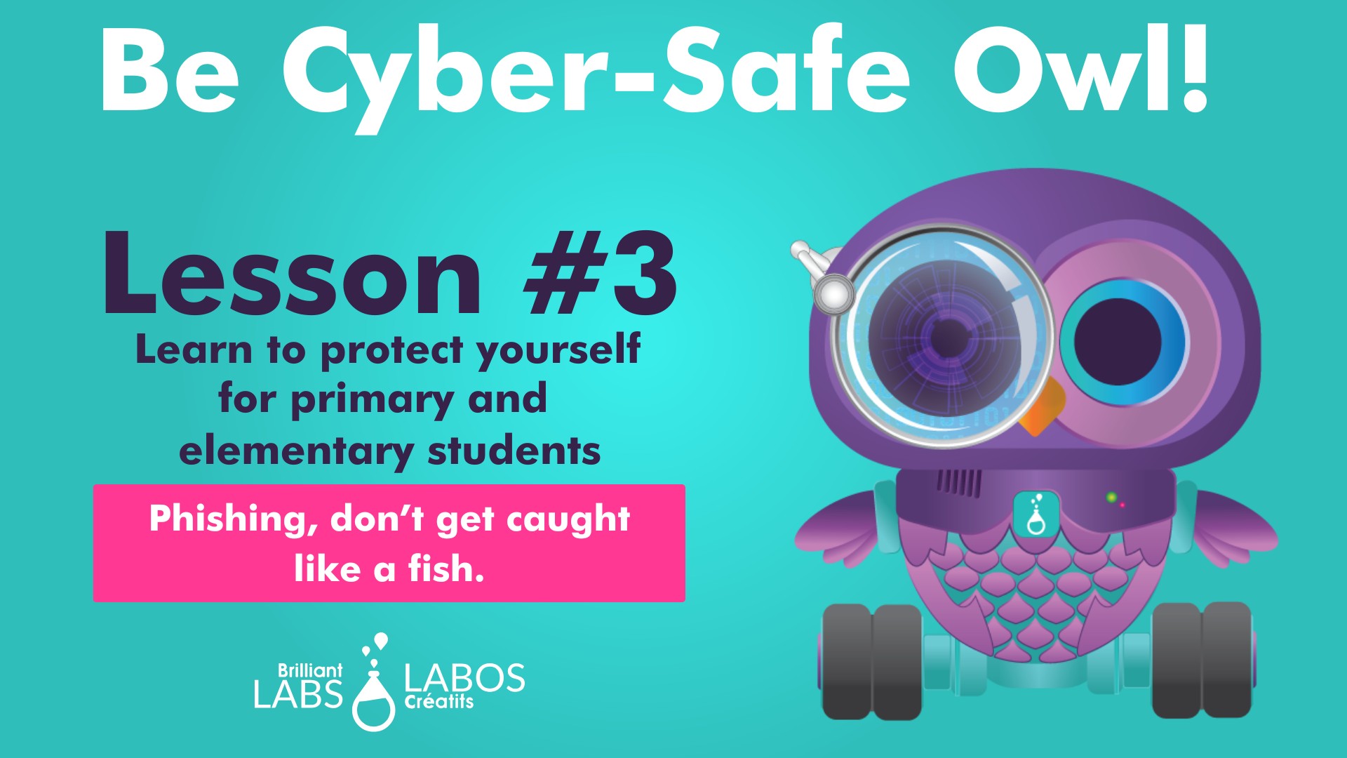 Thumbnail image for the cybersecurity level 1 activity 3 document