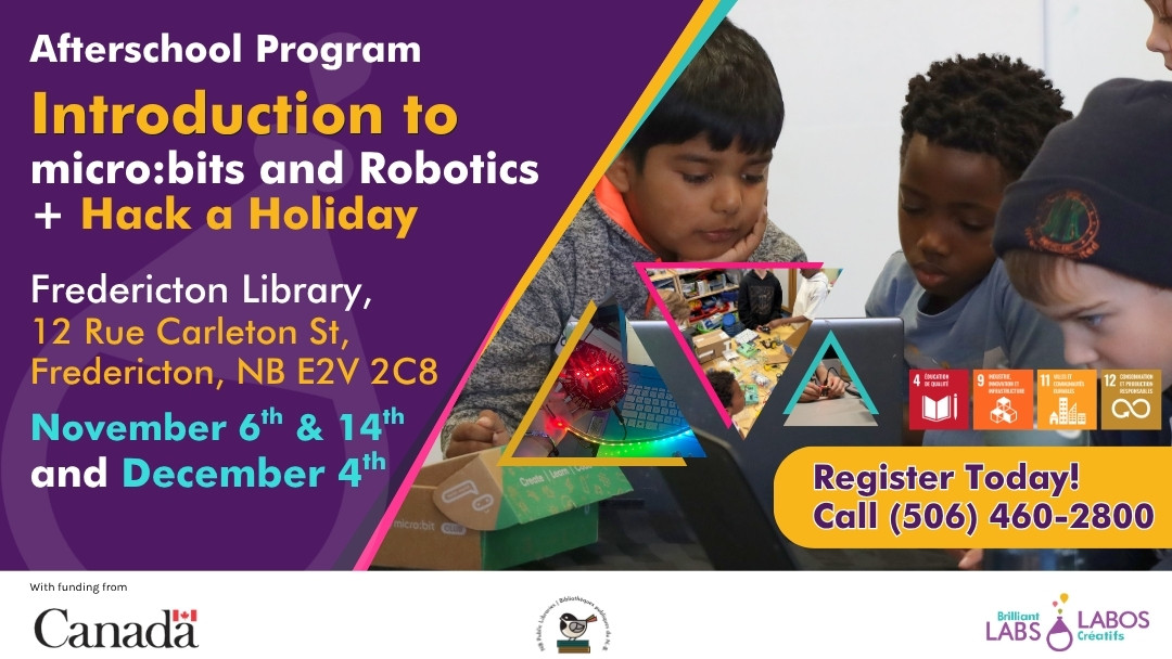 Fredericton Public Library program feature poster