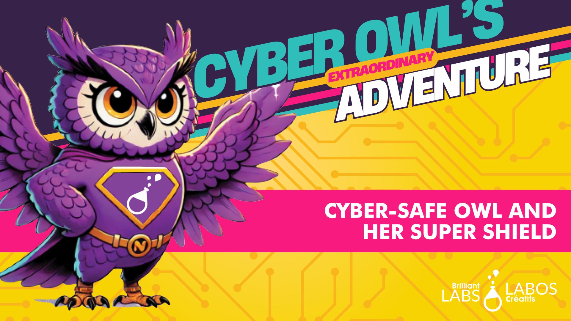 Cover image for the cyber owl's adventure document
