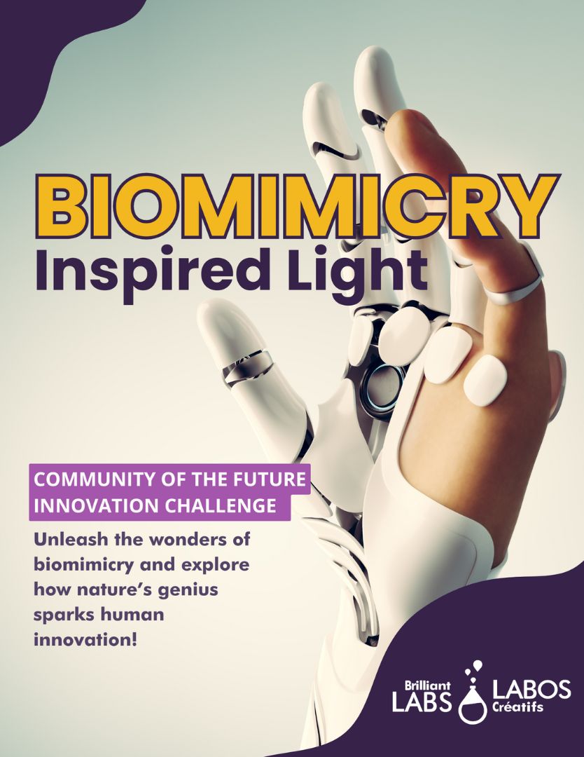 Cover photo for Biomimicry kit document