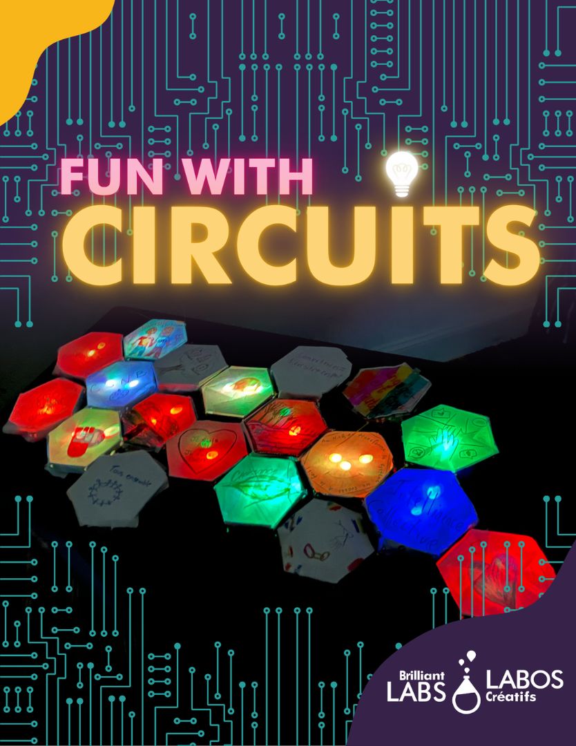 Cover photo for Fun With Circuits kit document
