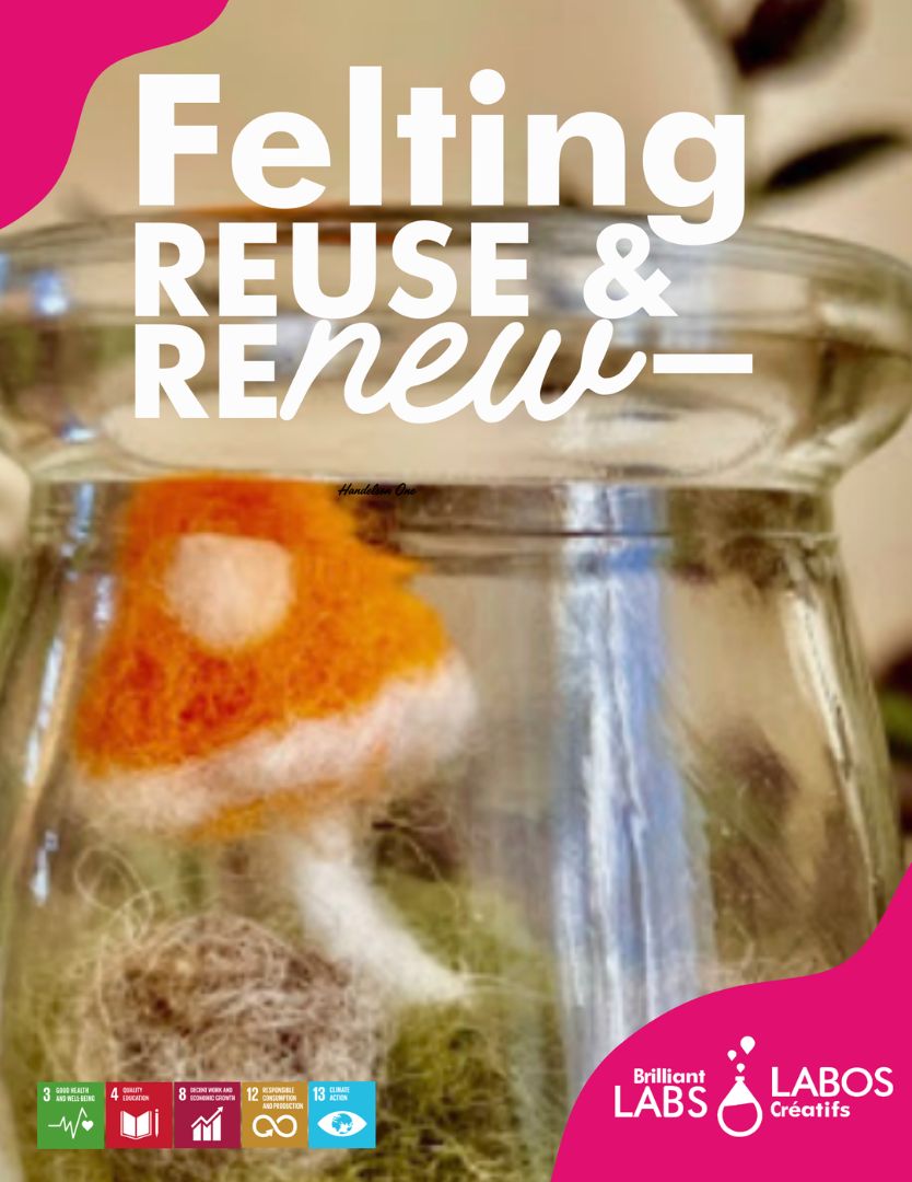 Cover photo for Felting kit document