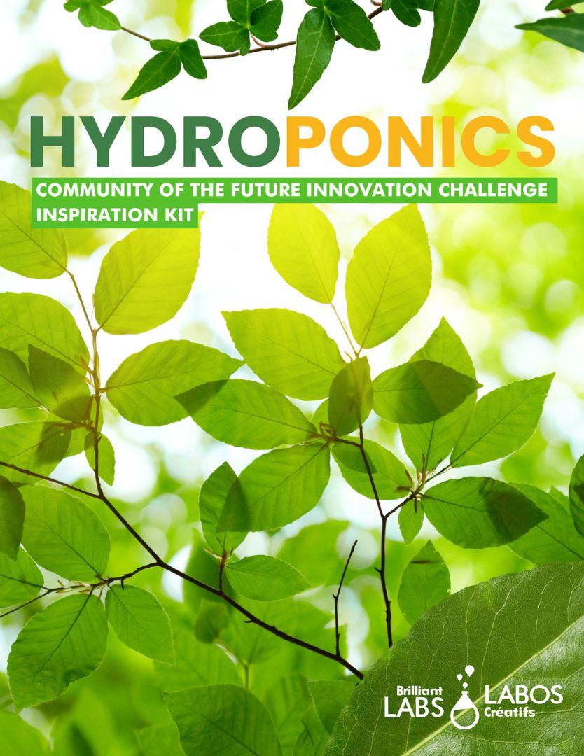 Cover photo for Hydroponics kit document